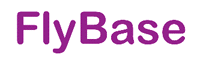 FlyBase